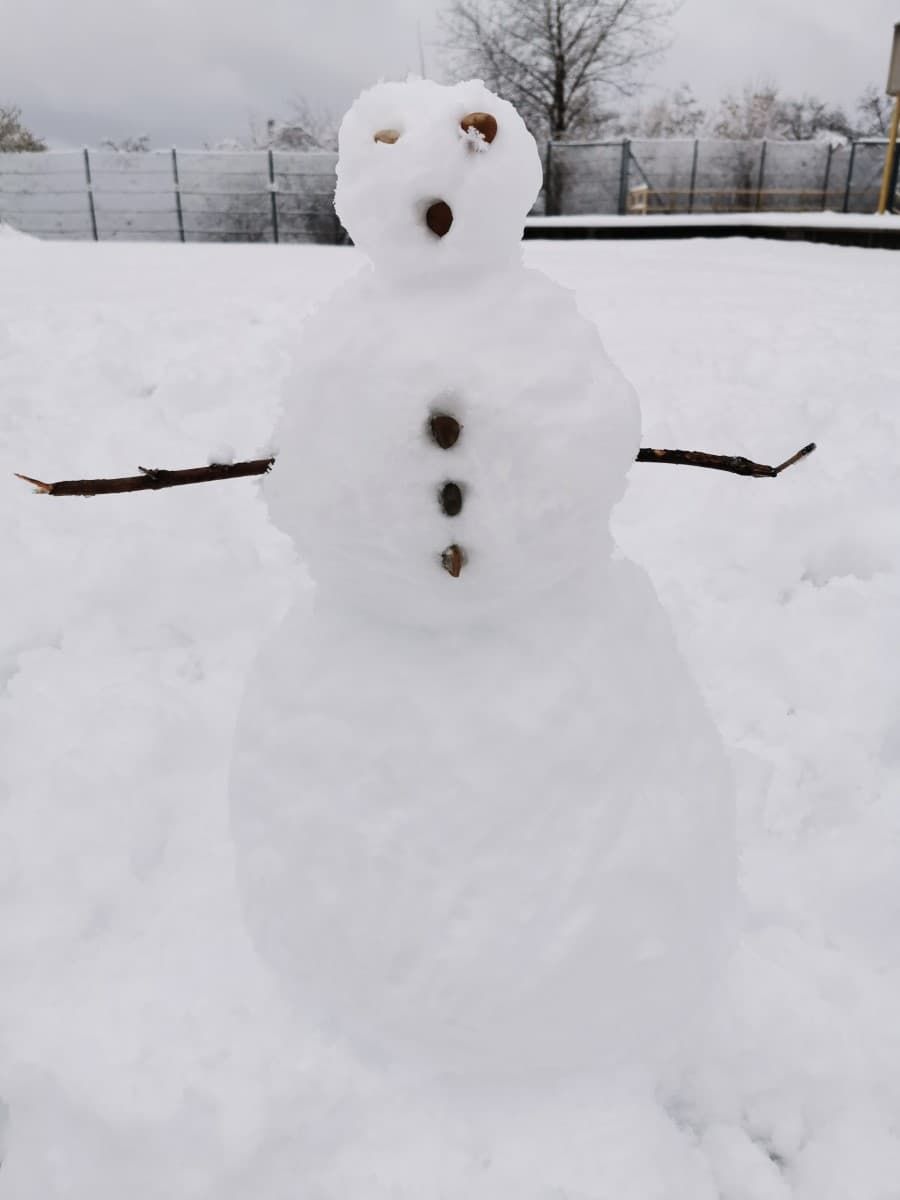 snowman8